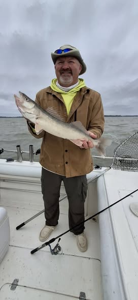 Walleye catch on fishing boat in Port Clinton OH