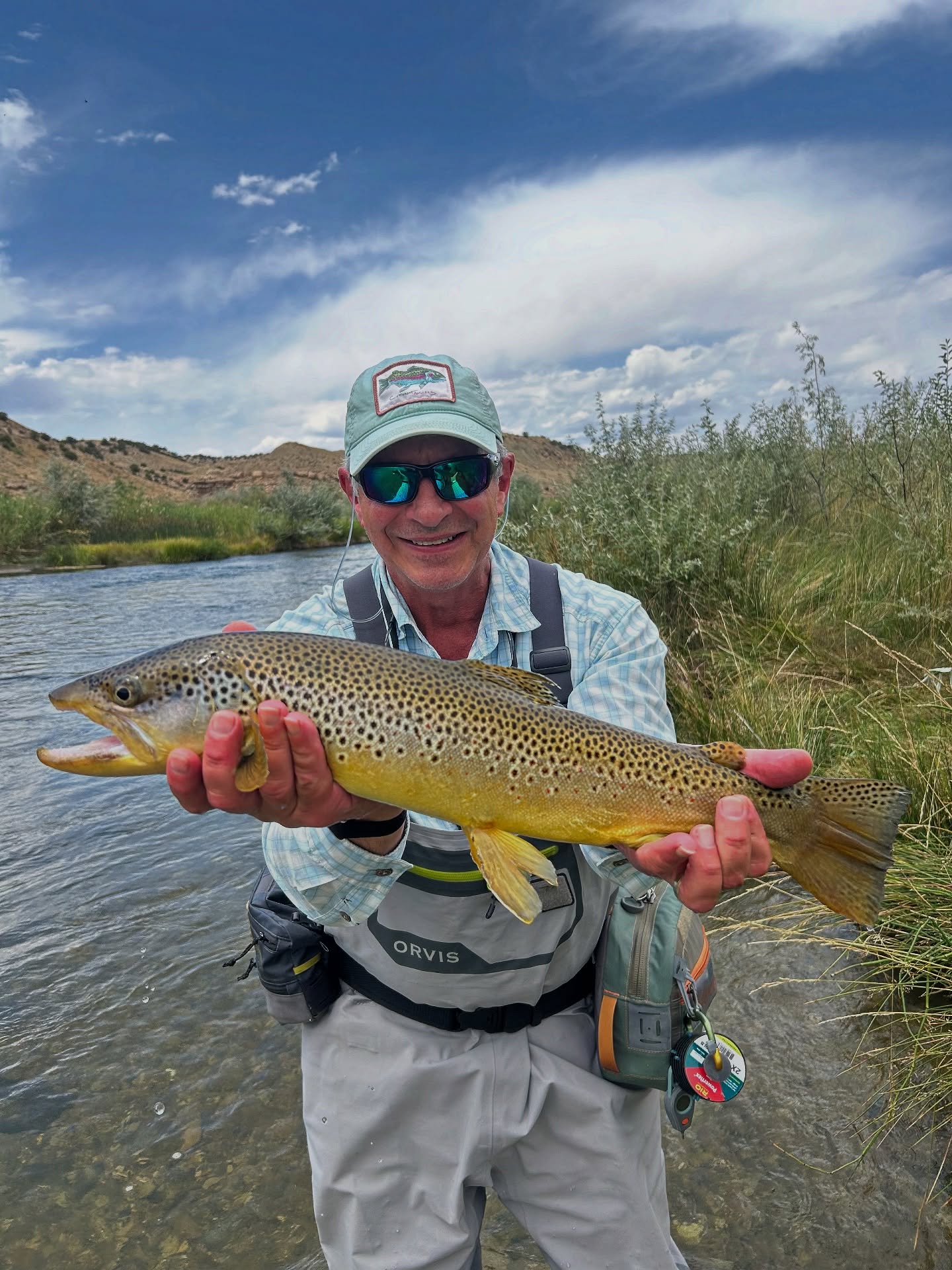 Brown trout caught while fly fishing in Park City UT river with mountain landscape