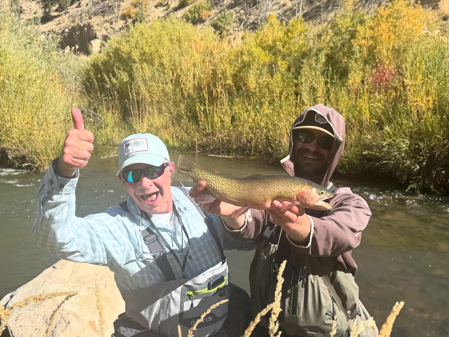 Rainbow trout caught while fishing in Park City UT with autumn foliage along riverbank