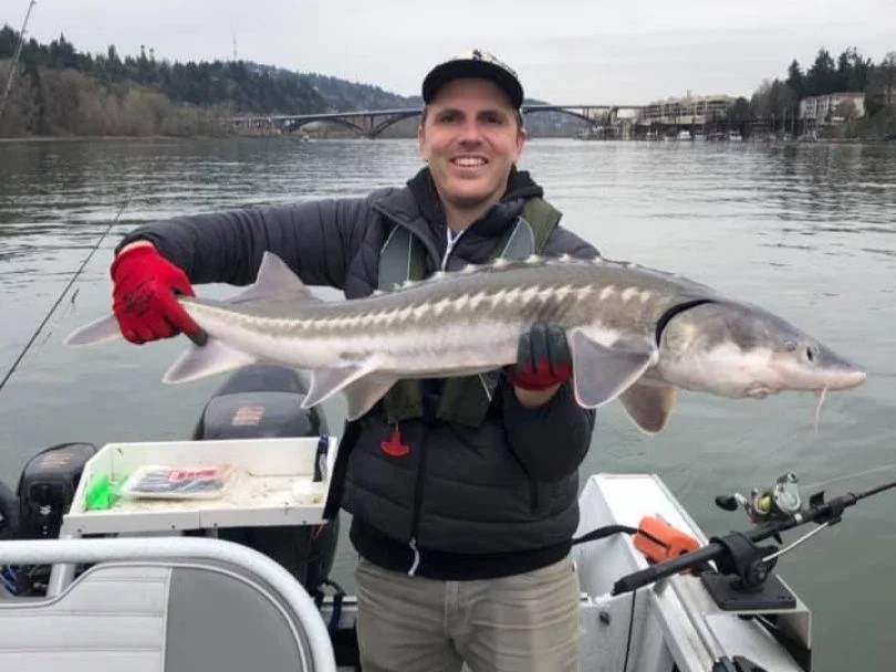 Catch of the day: White Sturgeon fishing in OR