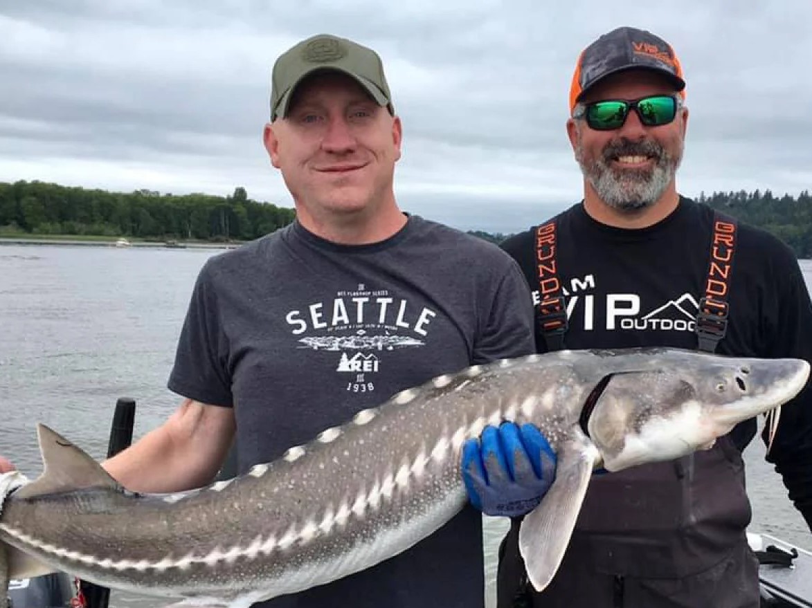 Image of a huge white sturgeon caught while fishing in Oregon