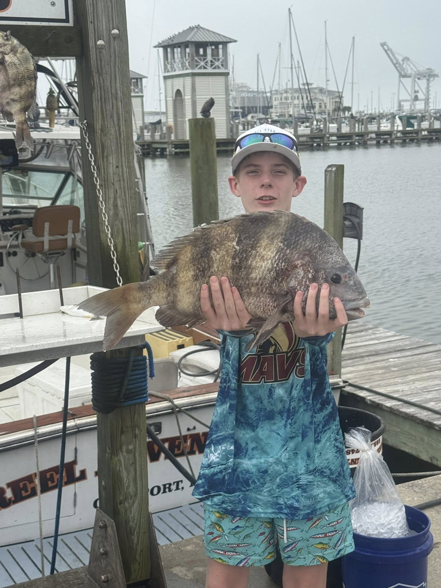 Sheepshead fish catch displayed at marina dock in Gulfport MS