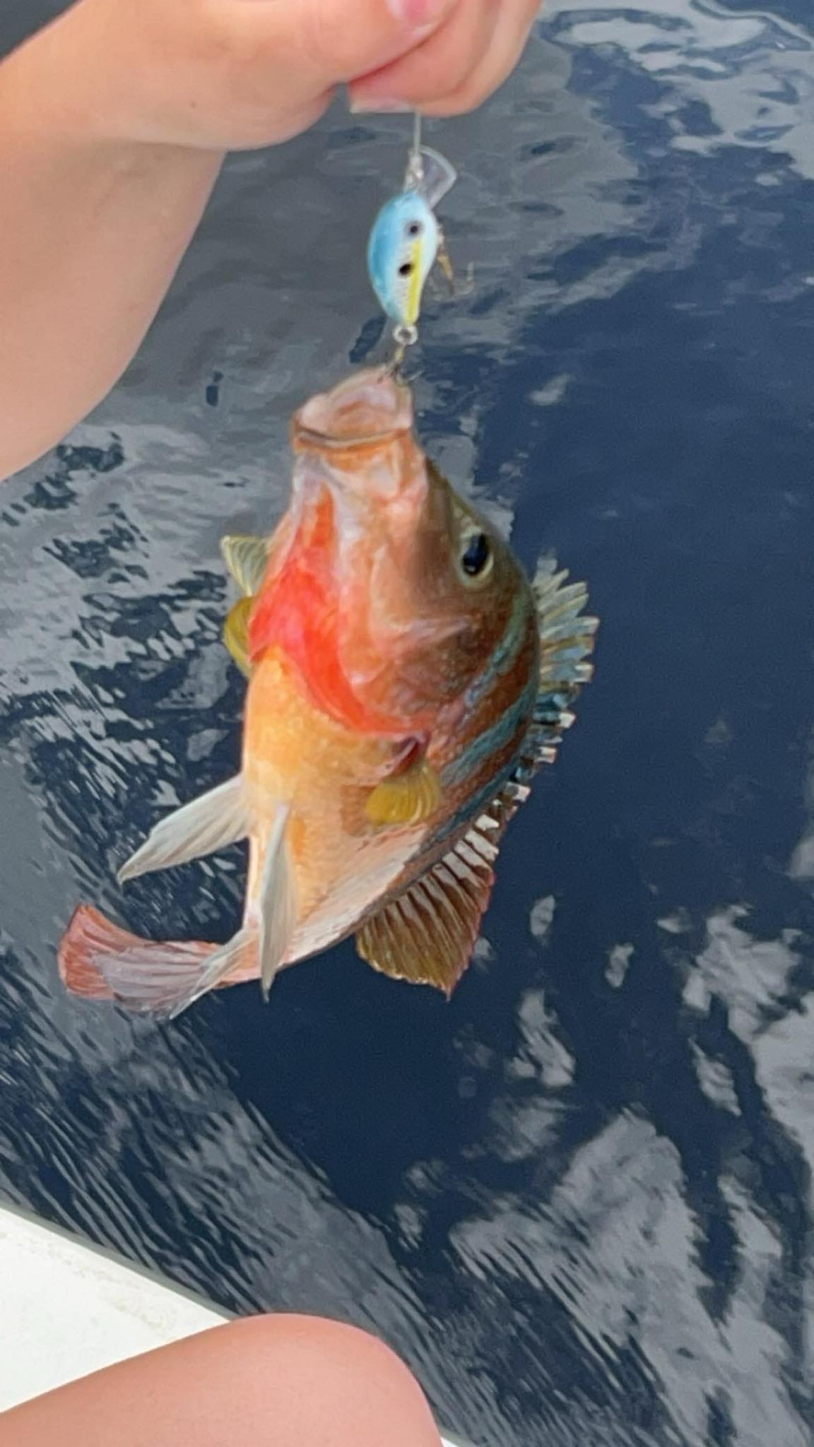 Fishing expedition in FL