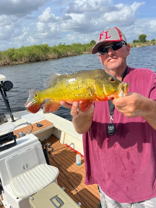 Lone angler fishing in Fort Lauderdale