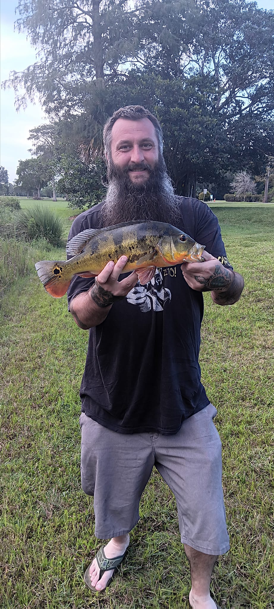 Peacock bass fishing in Fort Lauderdale