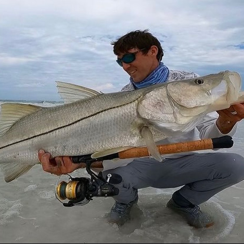 Snook fish caught in FL