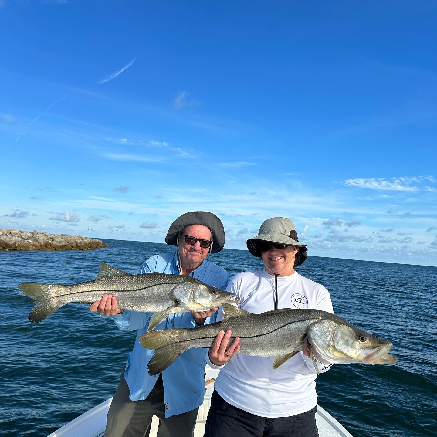 Two snook fish in Belleair Bluffs