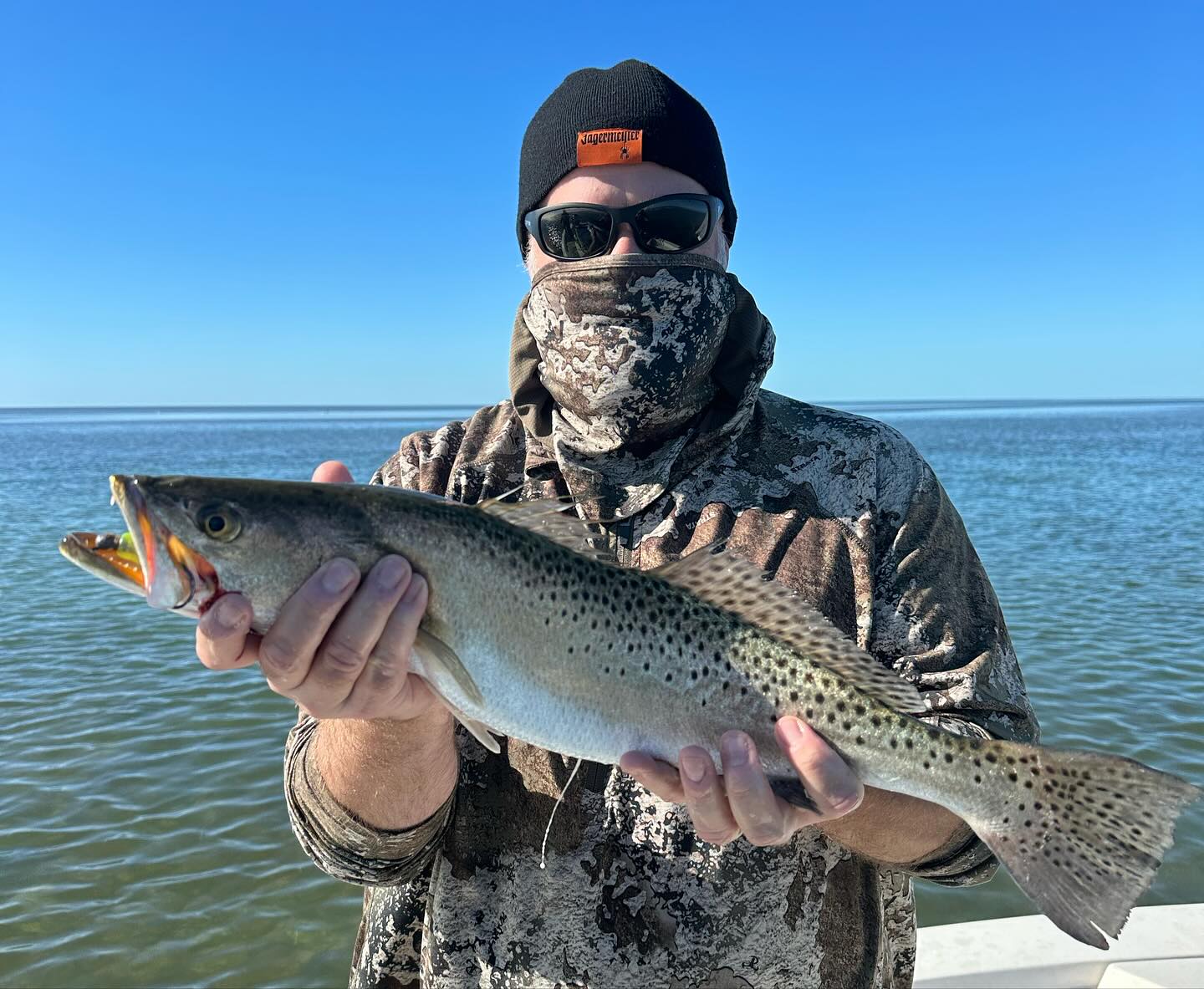 Spotted Weakfish caught in FL, fishing