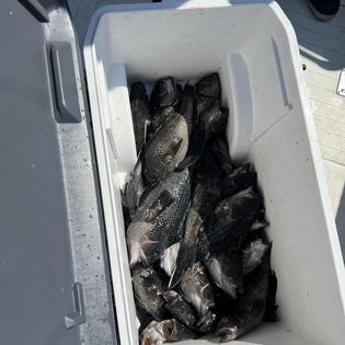 Scenic view of Belmar, a popular fishing destination