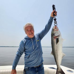 A stunning bluefish caught in NJ