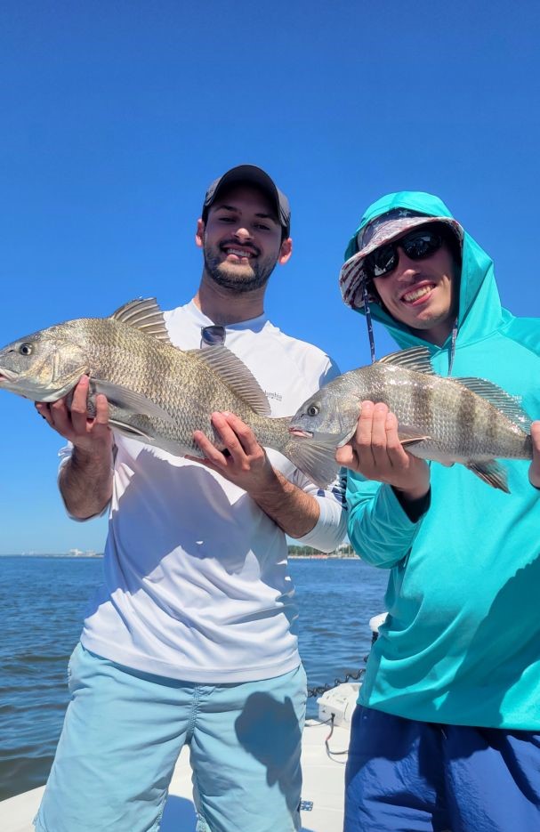 Two black drum fish caught in MS