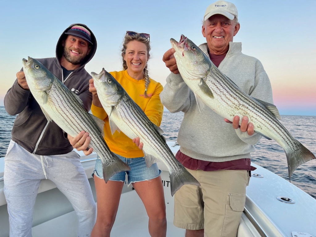 3 striped bass caught fishing in Truro