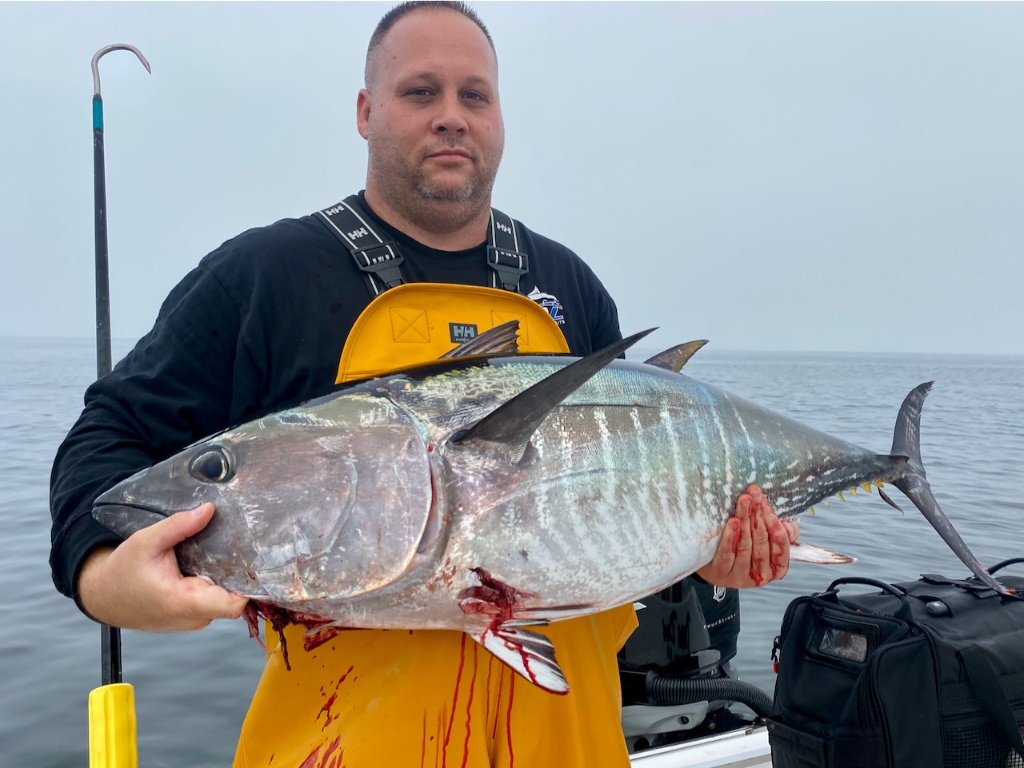 Photograph of a 30-inch Atlantic Bonito fish caught while fishing in Truro