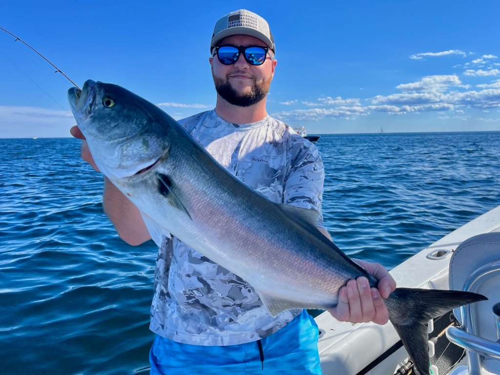 Bluefish, 23 inches, caught fishing in MA