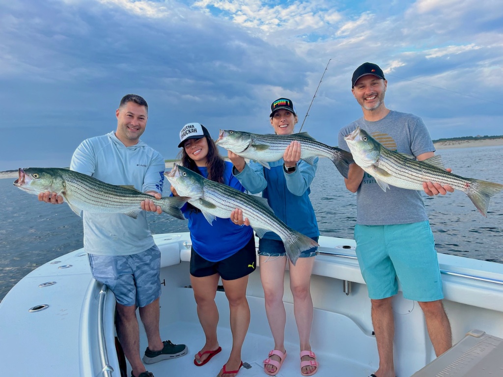 Four striped bass caught by anglers in Truro