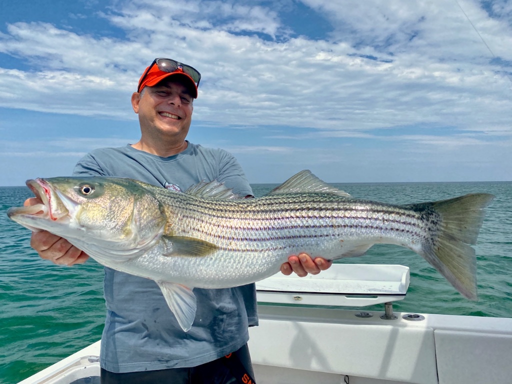 Striped bass caught while fishing in Truro