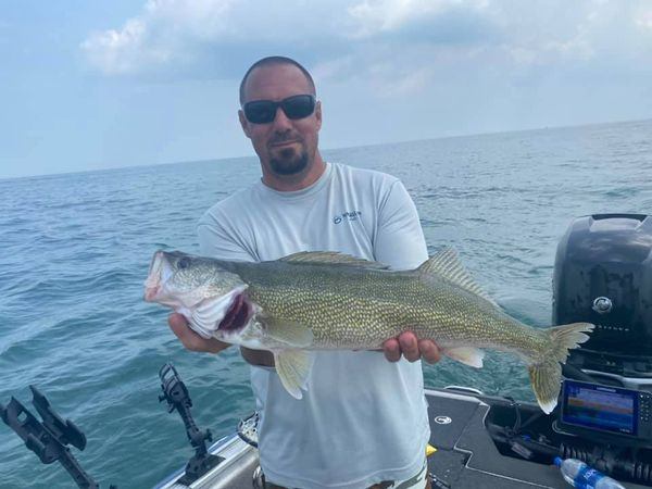 Sauger fish caught in MI