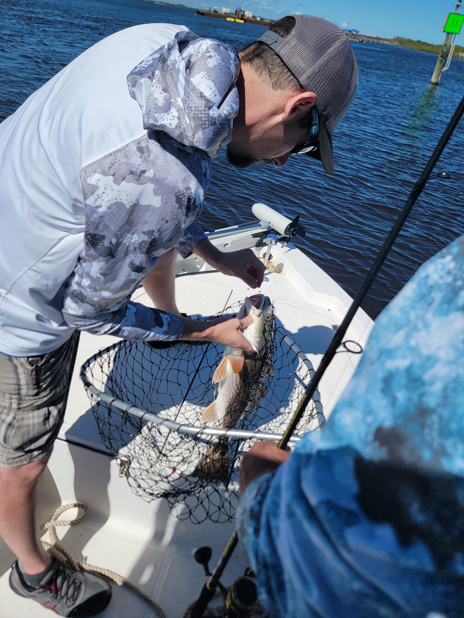 Redfish caught in fishing net on boat in Ponce Inlet FL waters