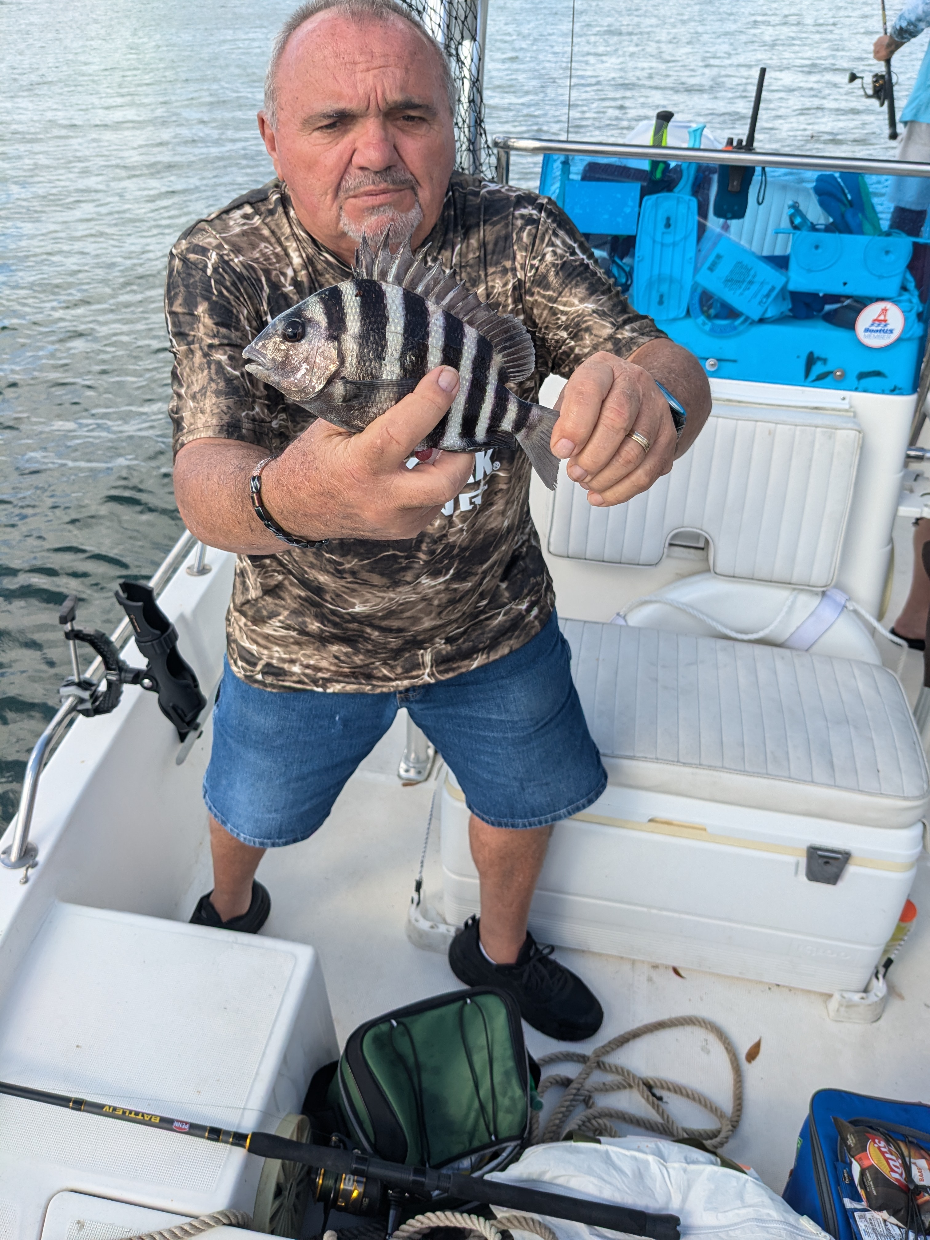 Sheepshead fish caught during fishing trip in Ponce Inlet FL