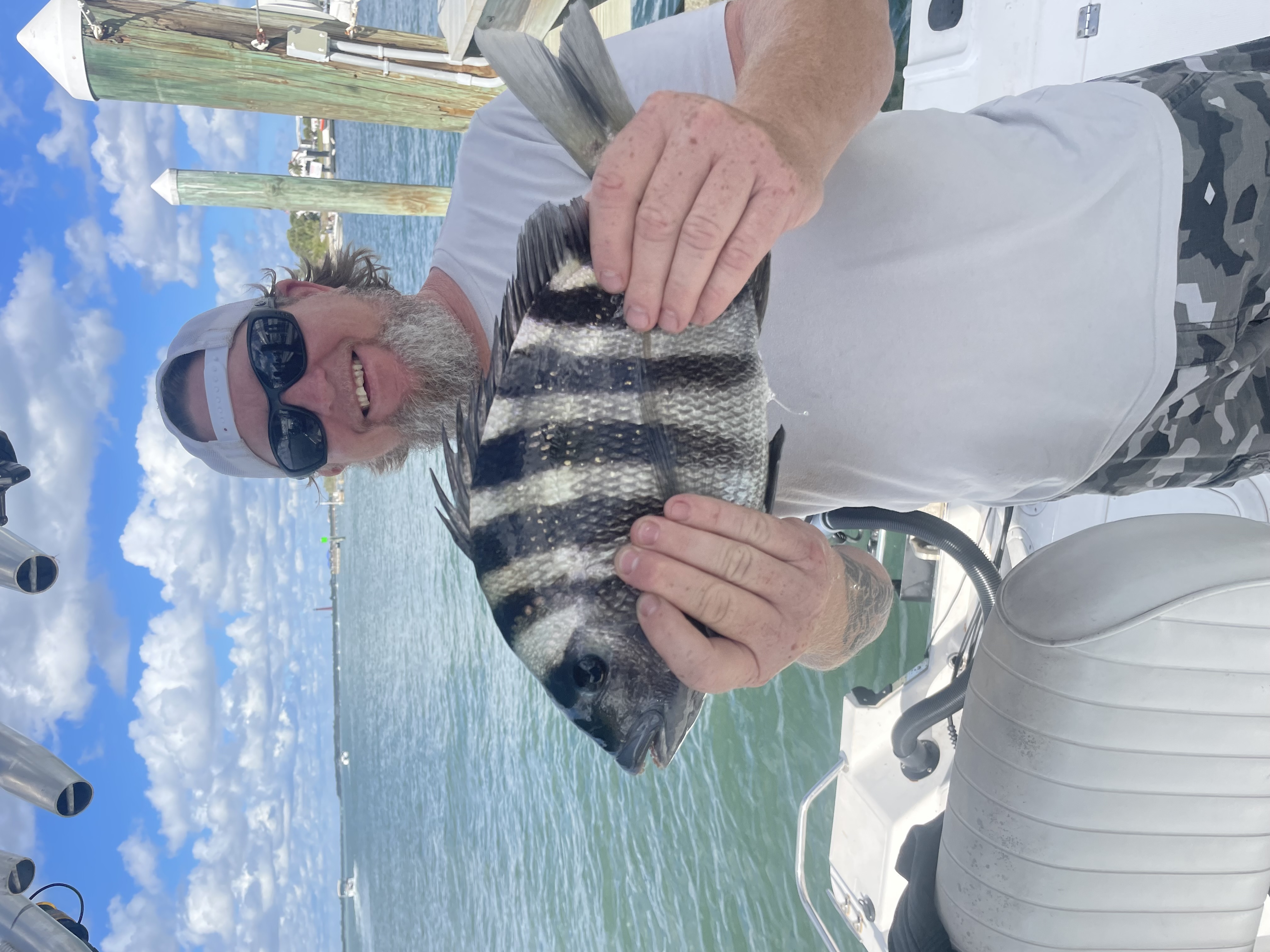 Sheepshead fish caught during fishing charter in Ponce Inlet FL