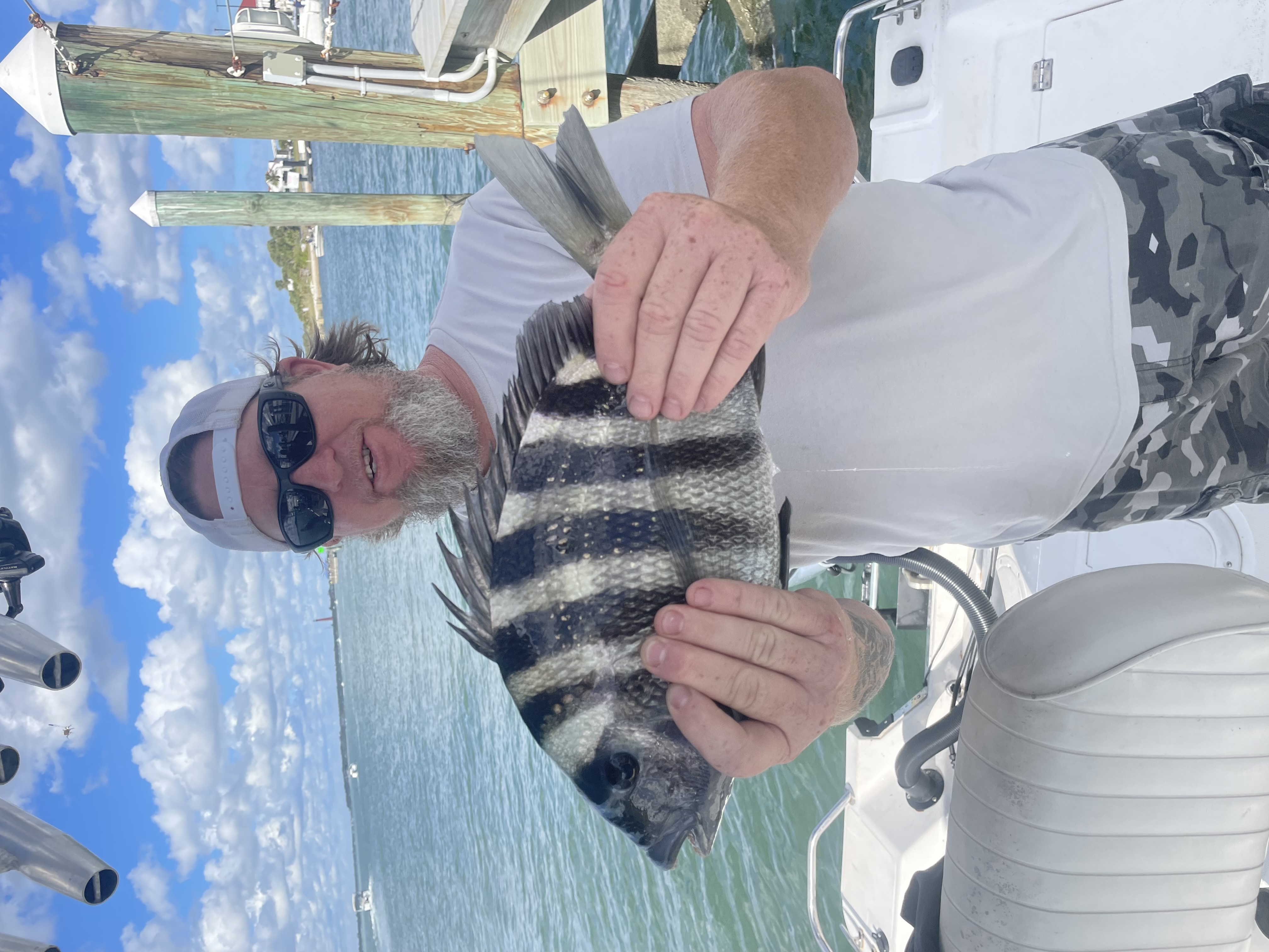Sheepshead fish caught during fishing tour in Ponce Inlet FL