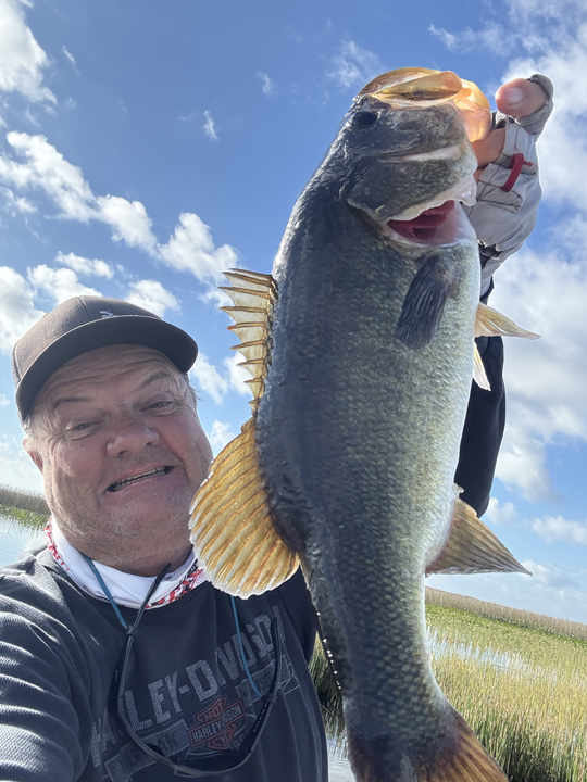 A person standing in a scenic location in Sebring, fishing.