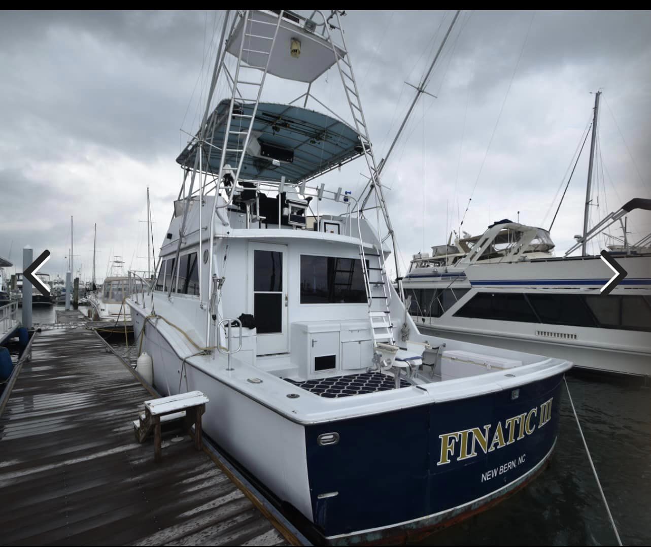 Mommy Shark Boat