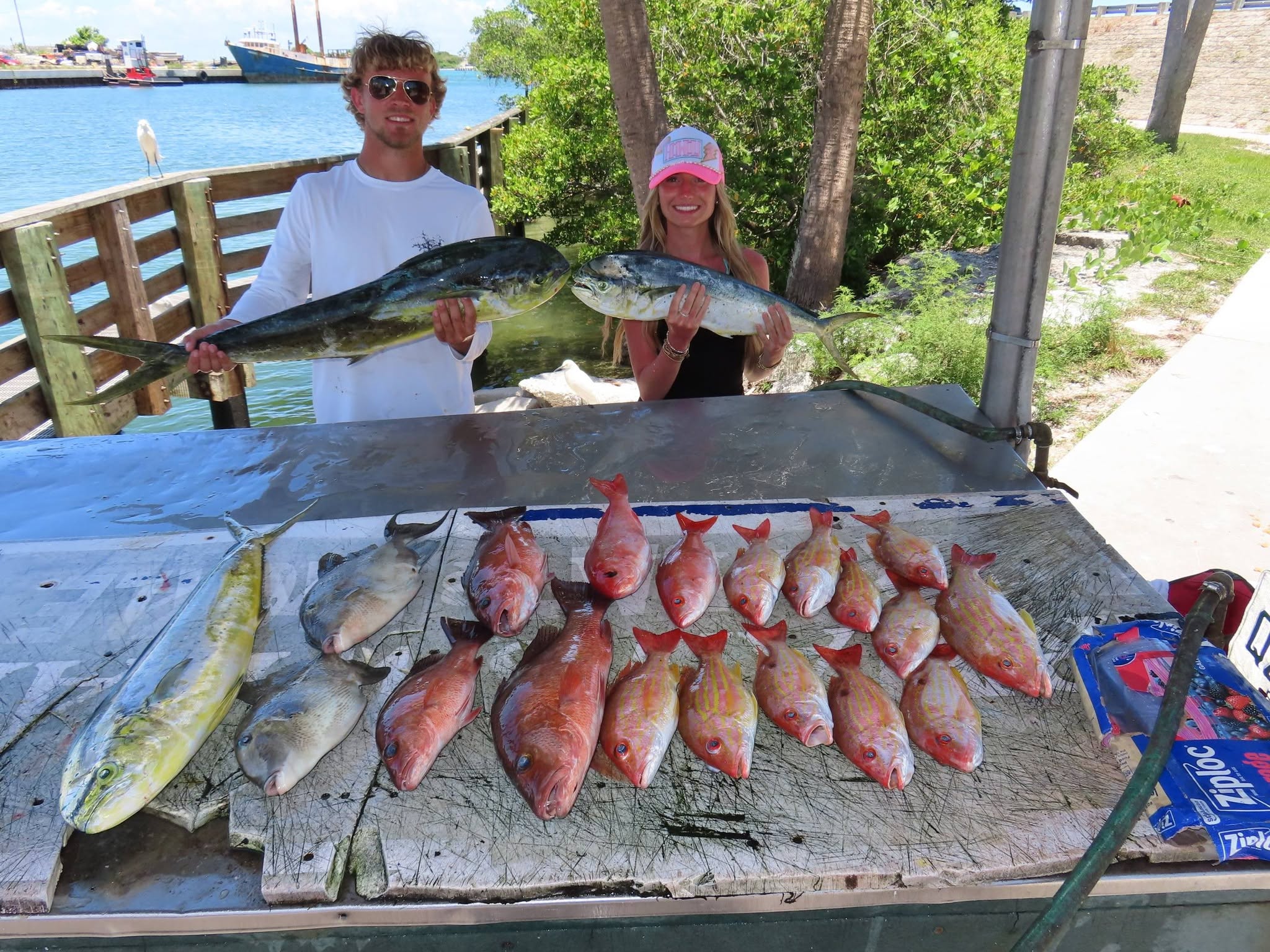 Successful fishing trip in Fort Pierce FL showing mahi mahi, lane snapper, and grey triggerfish catch displayed on cleaning station