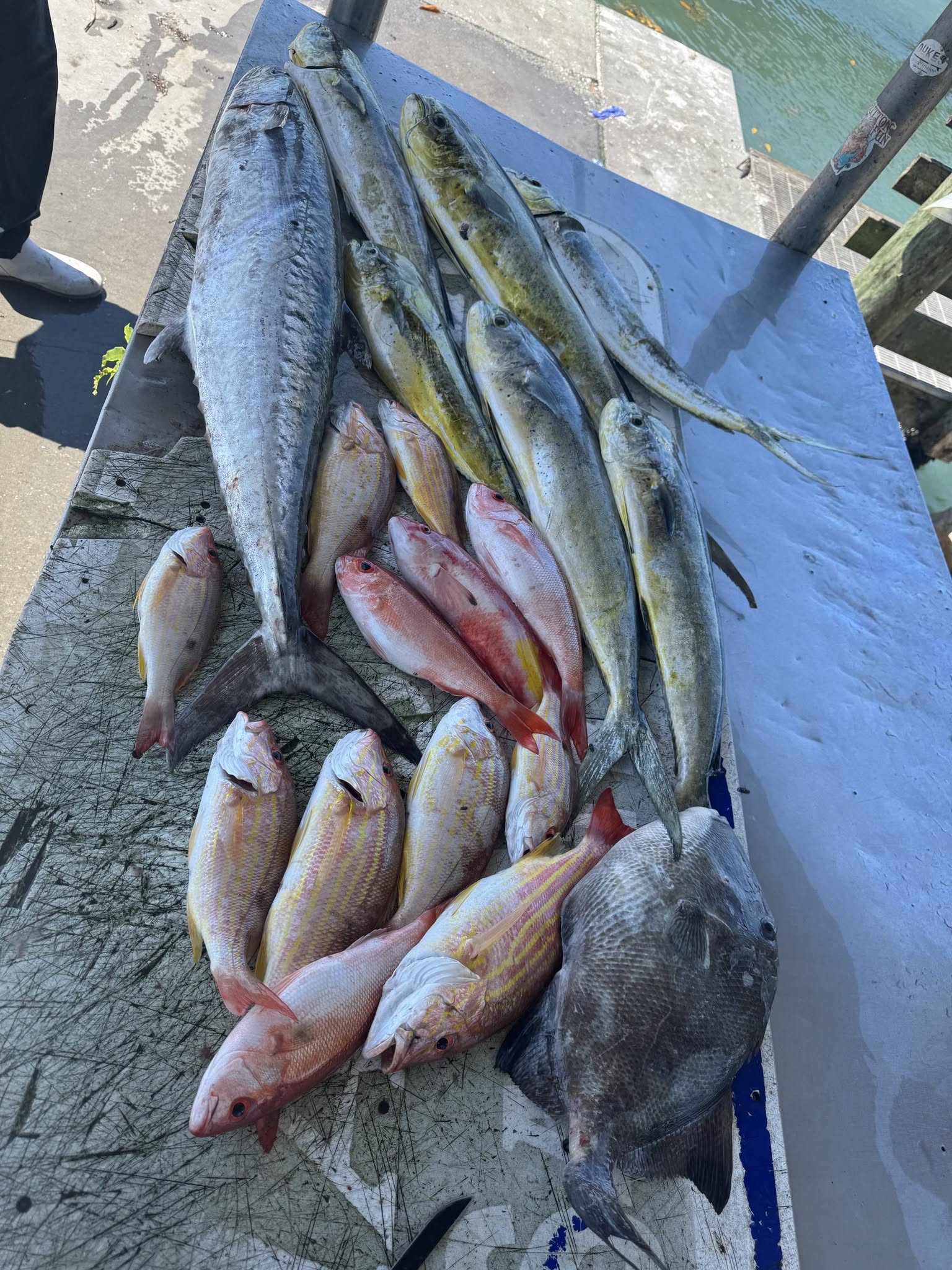 Fresh caught fish including Lane Snapper, King Mackerel, and Grey Triggerfish displayed on boat deck in Fort Pierce FL