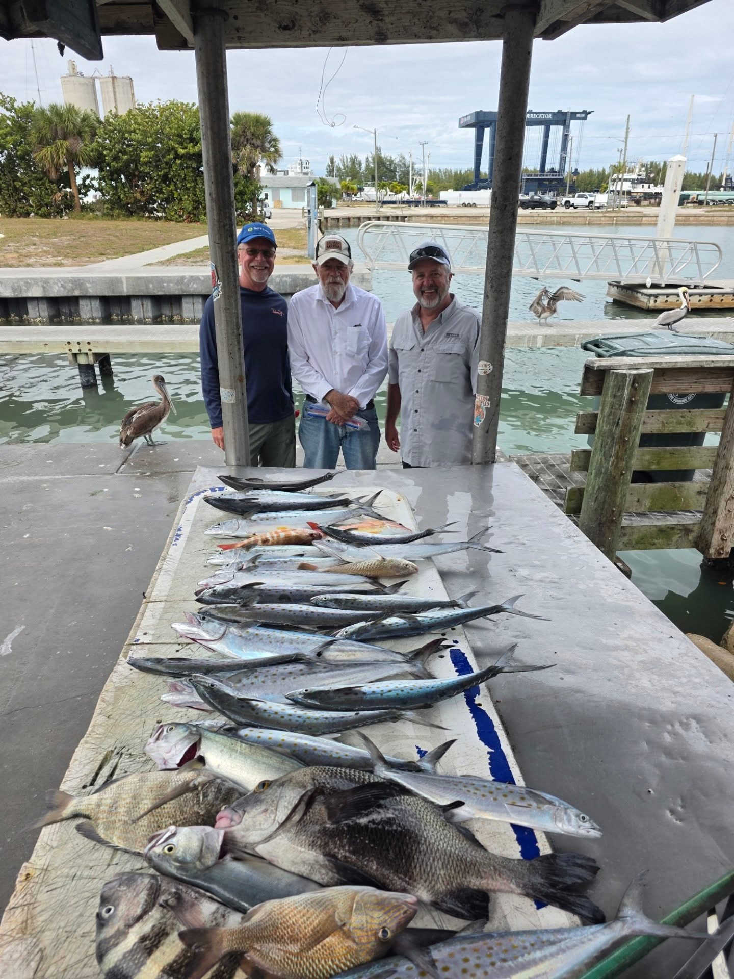 Fishing catch display at Fort Pierce FL marina showing White Grunt and Spanish Mackerel on cleaning table