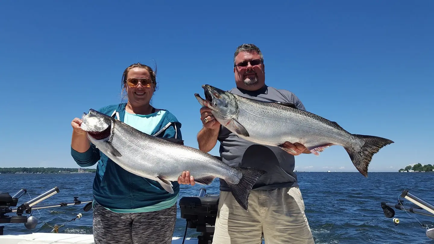 Two Chinook salmon, 32 inches long, caught while fishing in NY