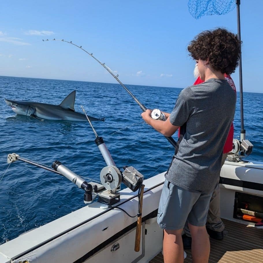 A sandbar shark caught while fishing in Waukegan
