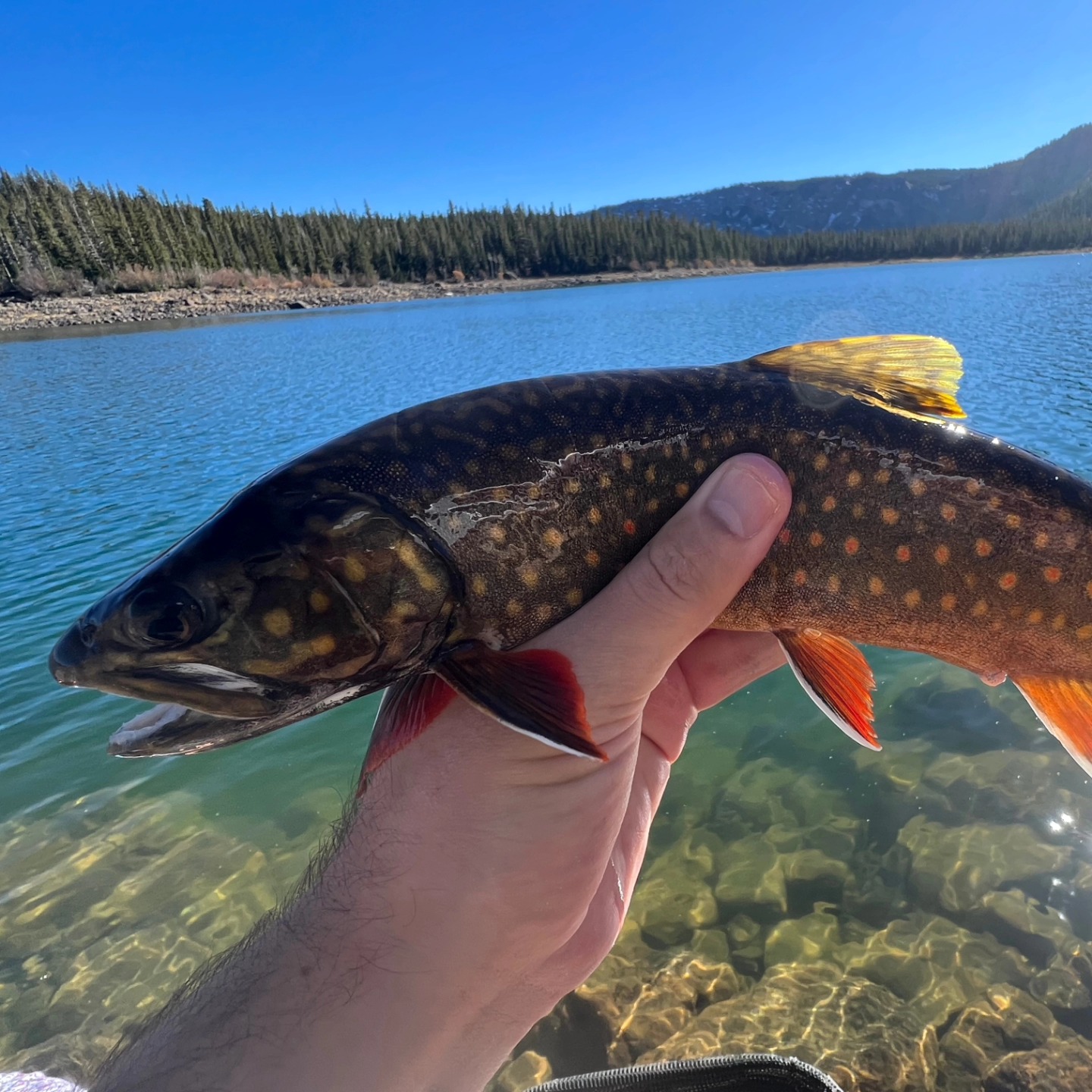 A scenic view of Kamas, a fishing destination.