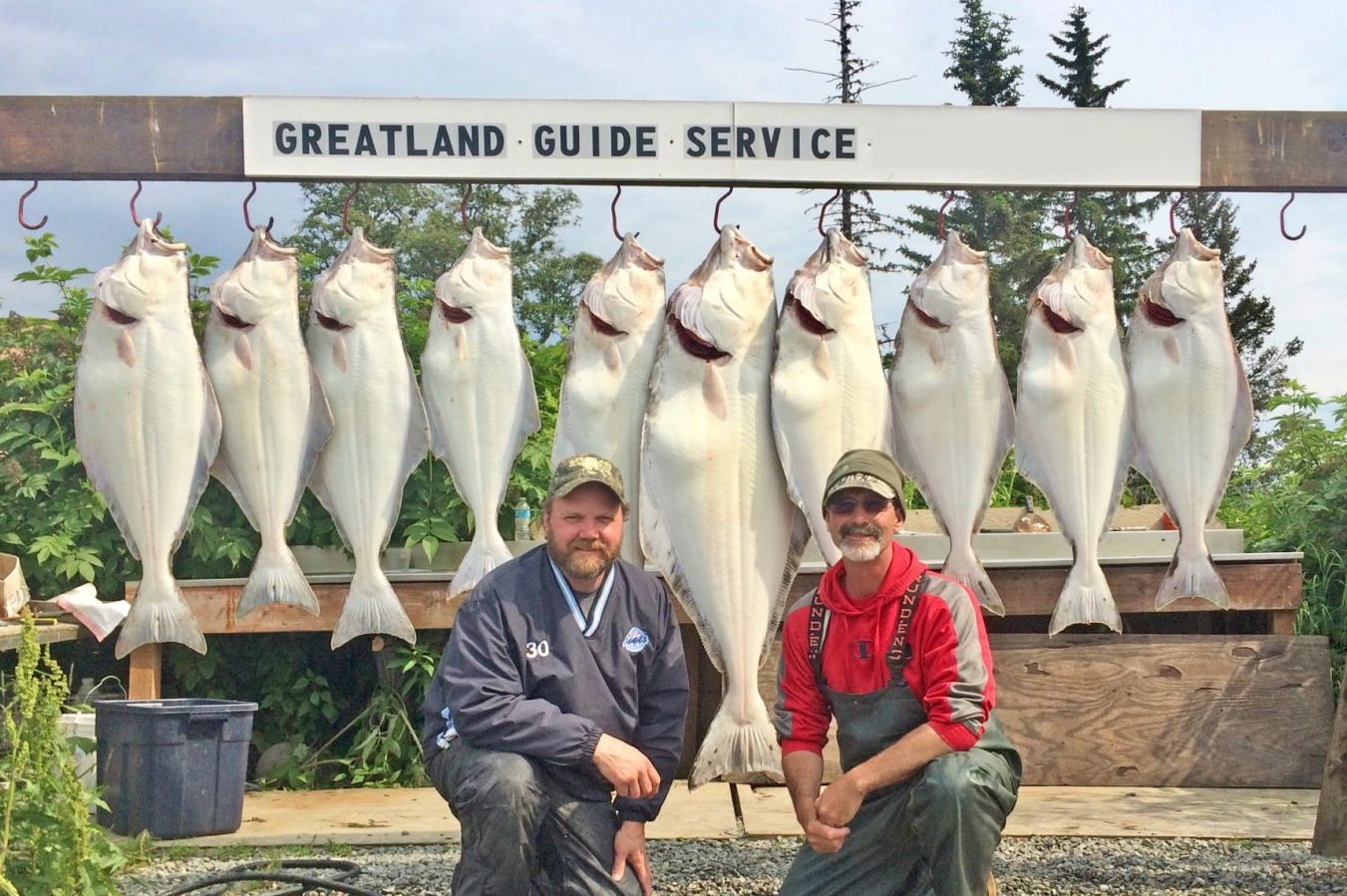 7 Pacific Halibut, 34 inches long, caught fishing in AK