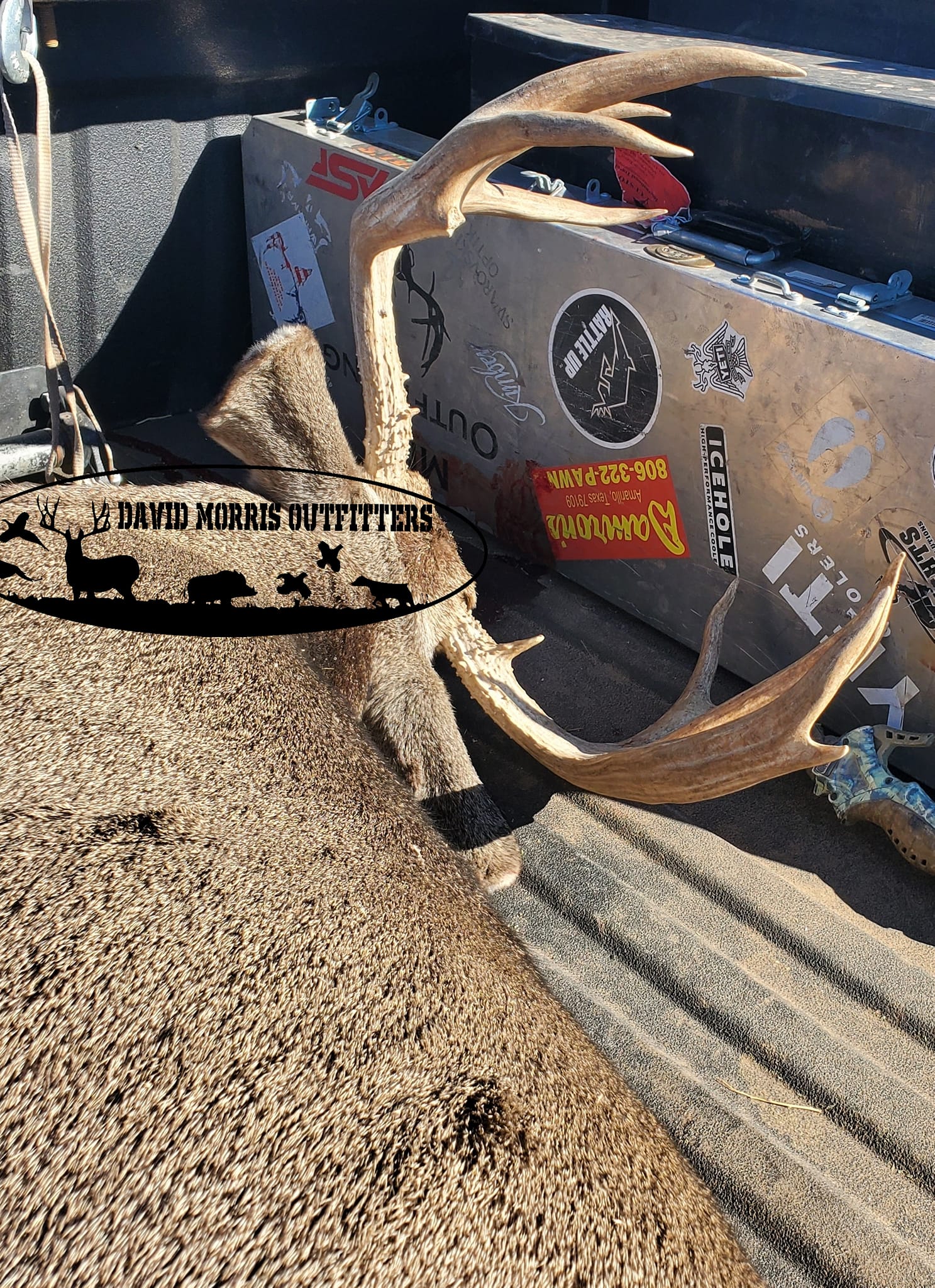 Hunting gear and harvested deer with large antlers in Alba TX