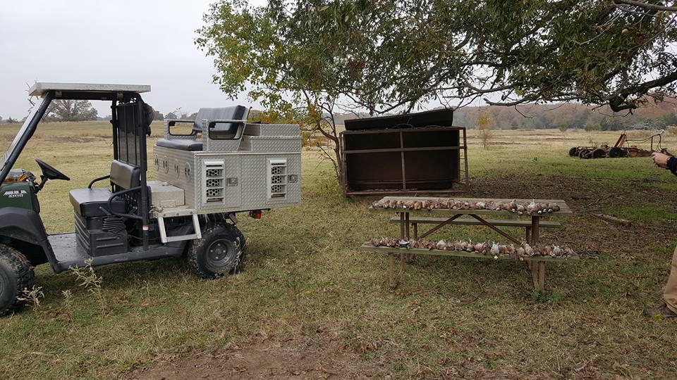 Hunting setup with UTV, dog kennels, and game processing station in Alba TX field