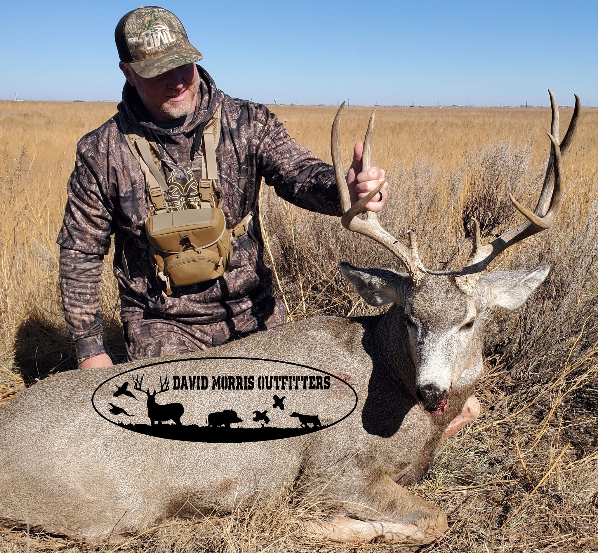 Whitetail deer with large antlers harvested during hunting season in Alba TX