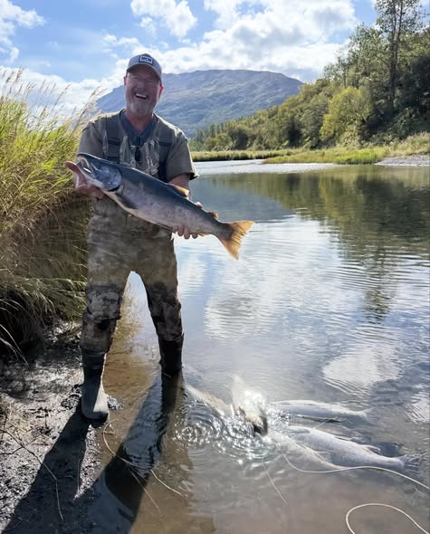 Angler holding fresh caught Chinook salmon while standing in river near Larsen Bay Alaska
