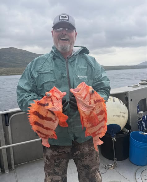 Two bright orange rockfish caught during fishing trip in Larsen Bay Alaska