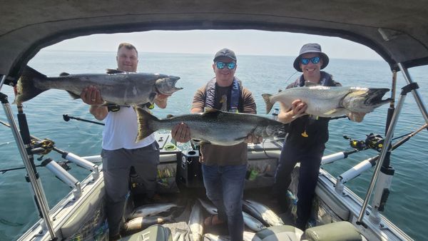 3 big fish caught while fishing in ON
