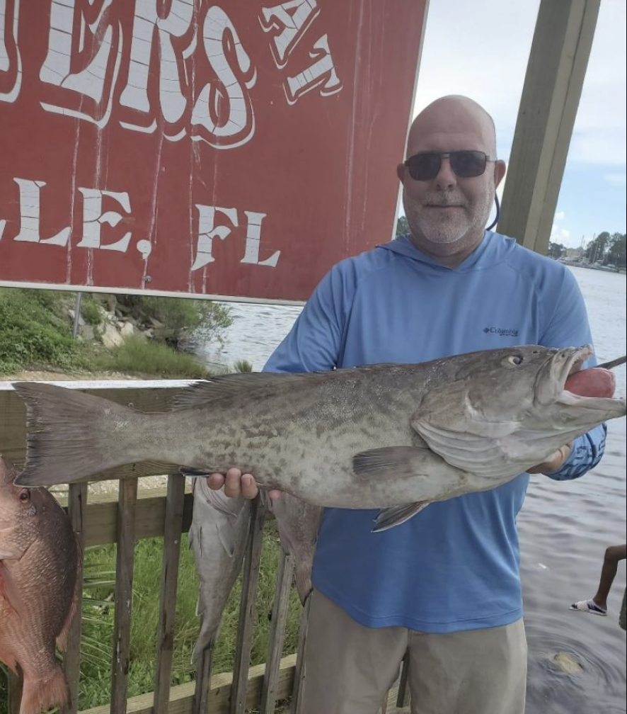 Gag Grouper, a 29-inch fish, caught in Carrabelle, Florida