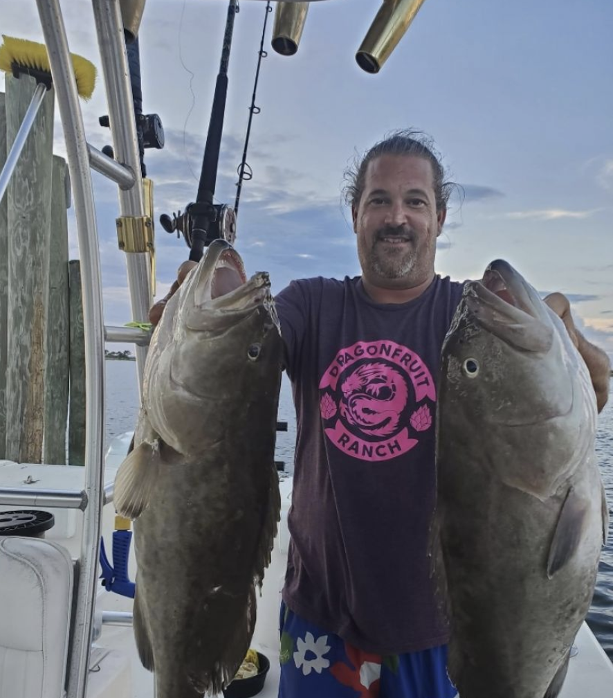 A photo of a fisherman holding two large Gag Grouper in Florida