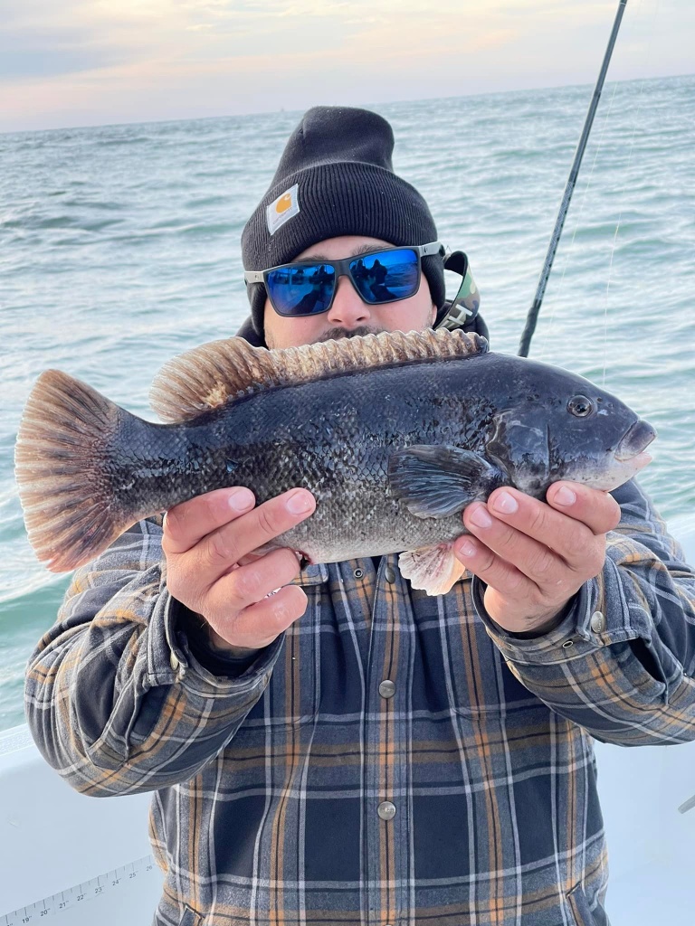 A tautog fish caught in Forked River