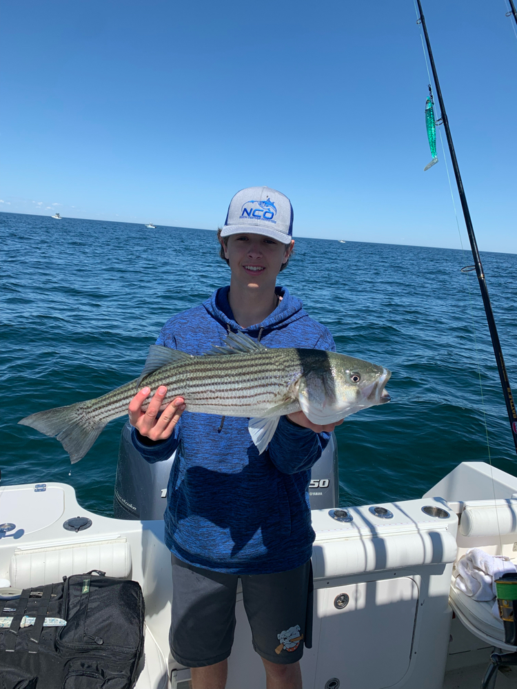 Fish-Species