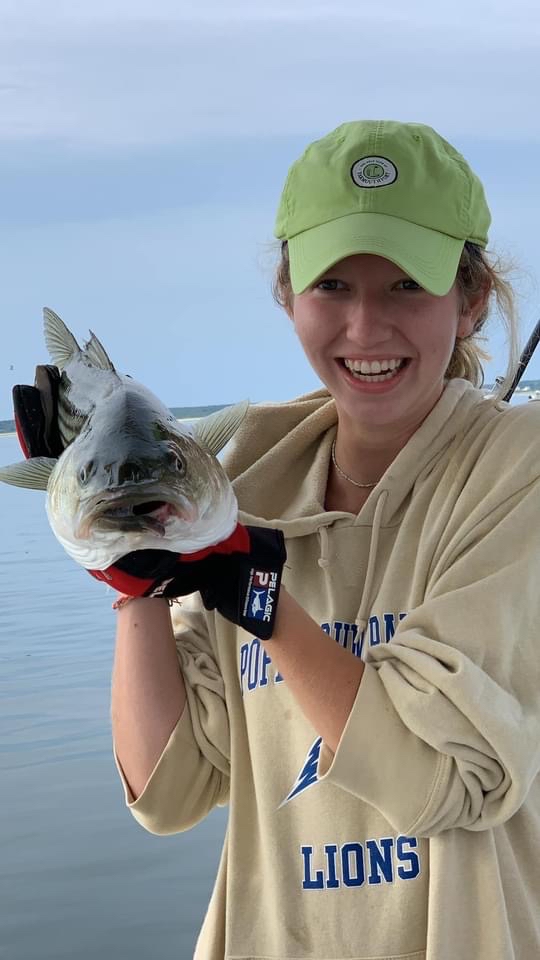 Fish-Species