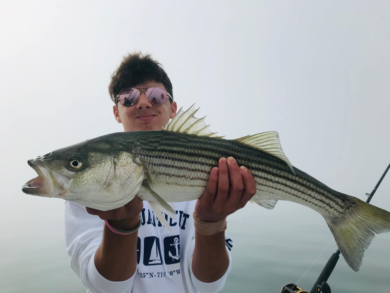 Fish-Species