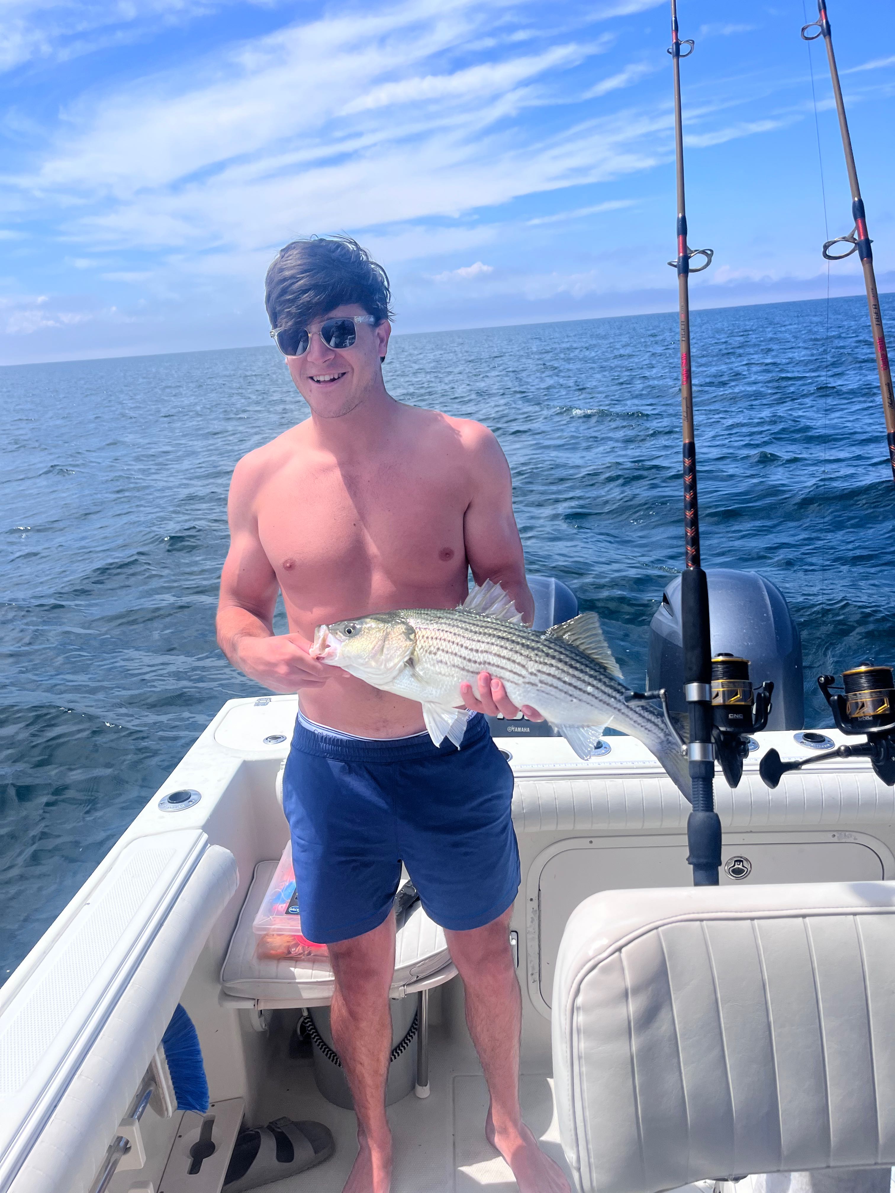 Striped bass catch on fishing boat in East Dennis MA waters