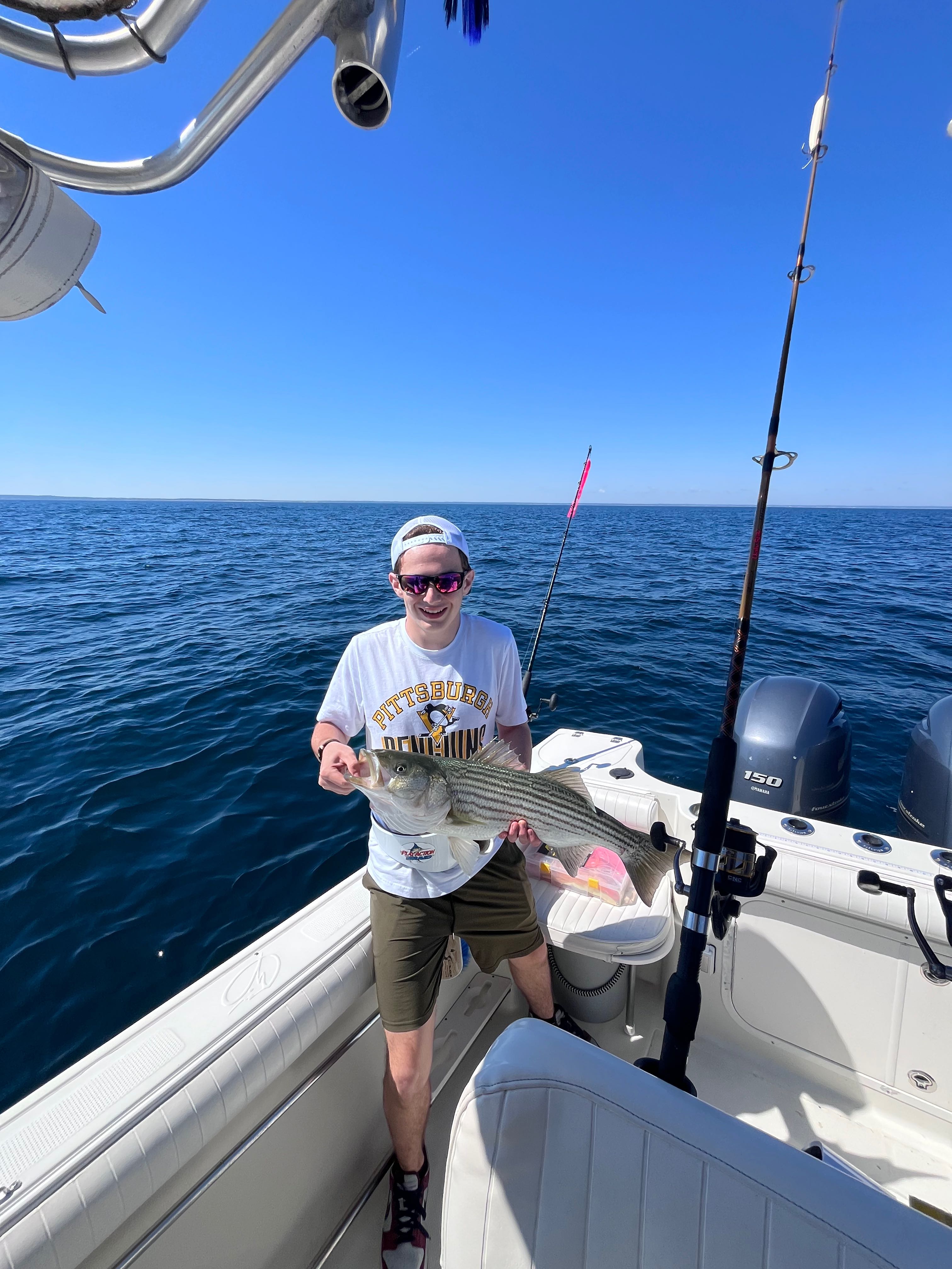 Striped bass caught during fishing charter in East Dennis MA