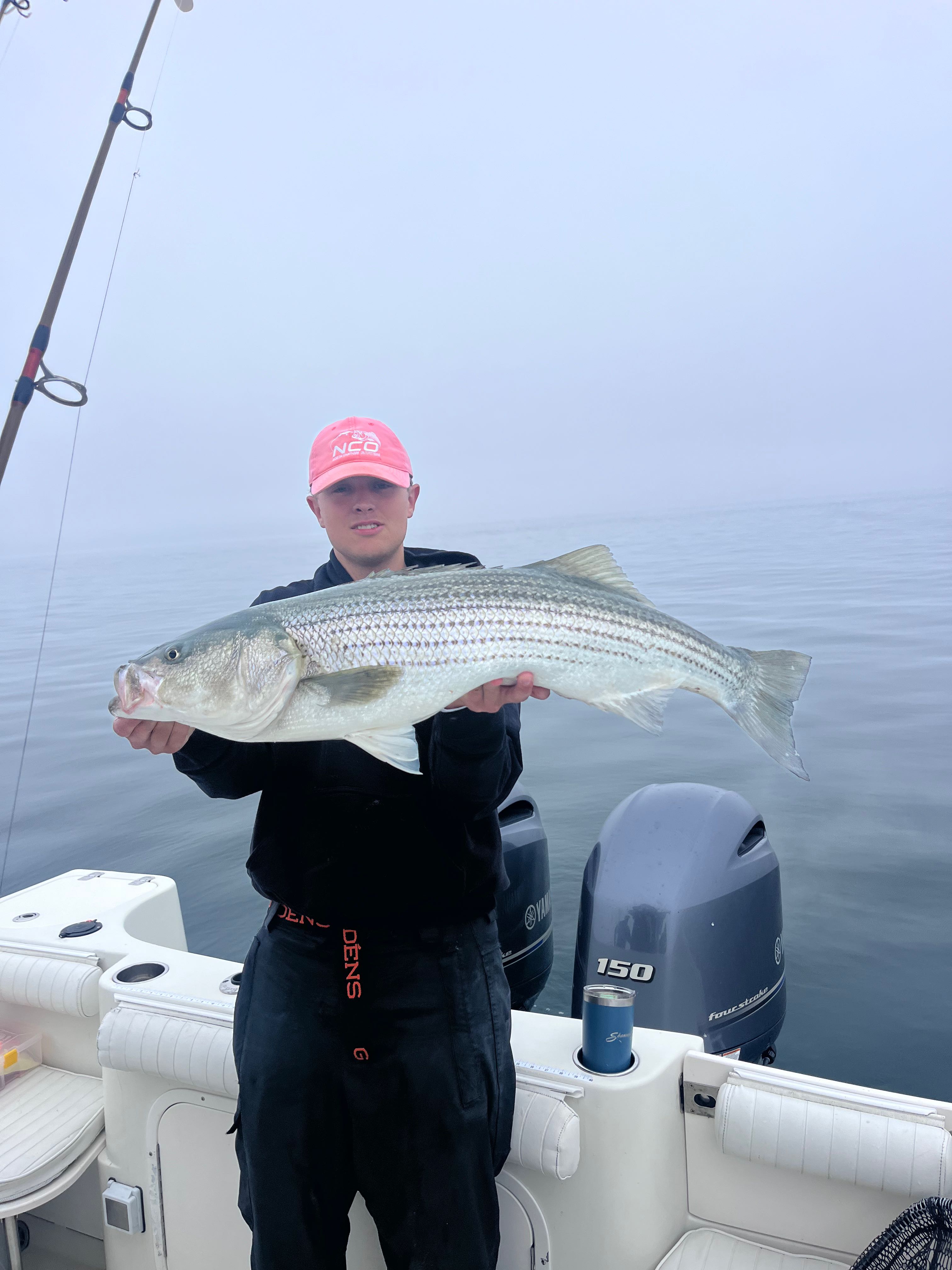 Striped bass catch on fishing charter boat in East Dennis MA waters