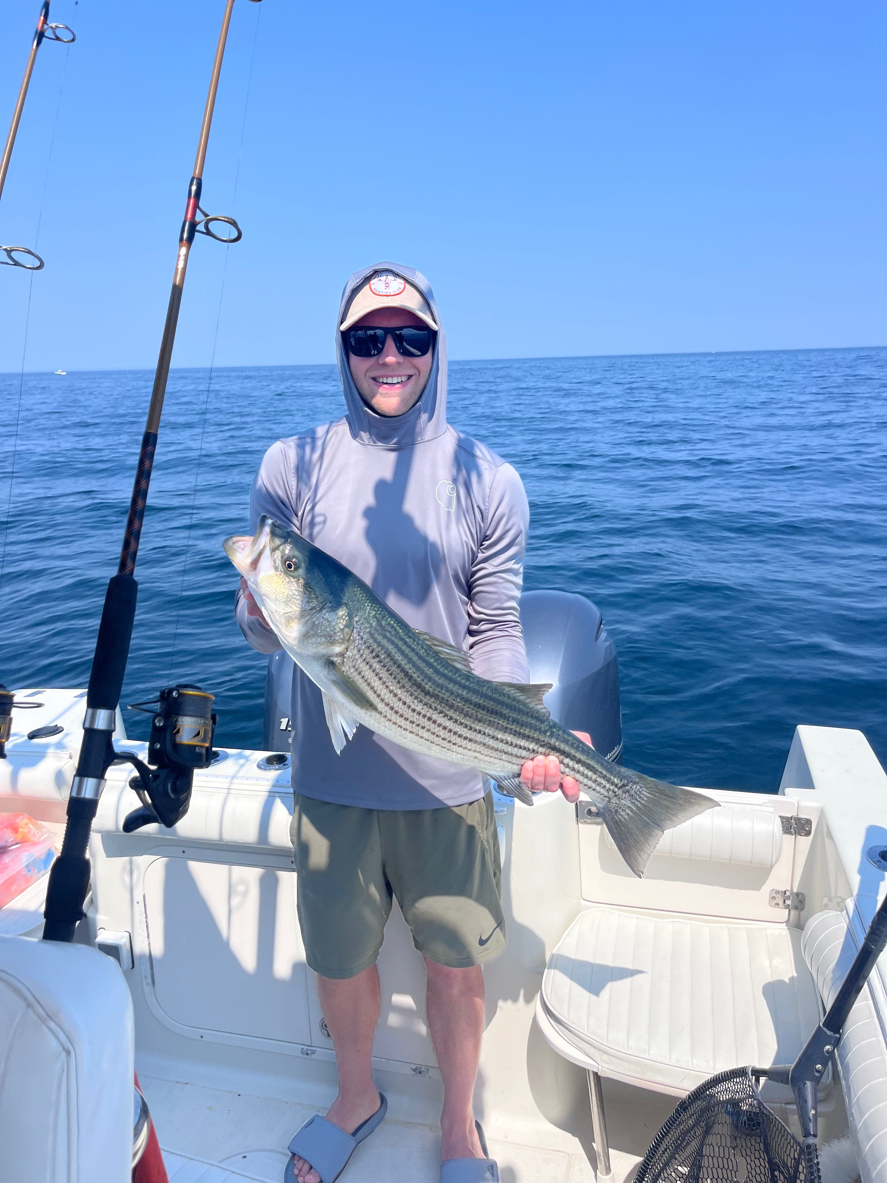 Striped bass catch displayed on fishing boat in East Dennis MA waters
